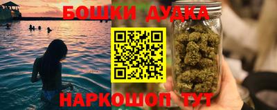 прущие грибы Балаково
