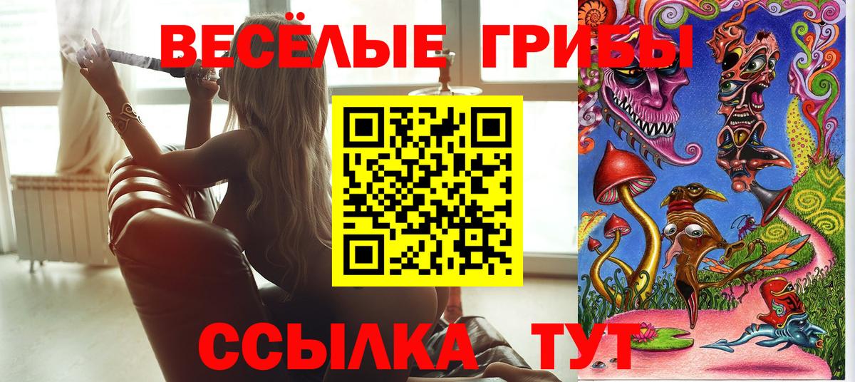 Галлюциногенные грибы Psilocybe Асбест