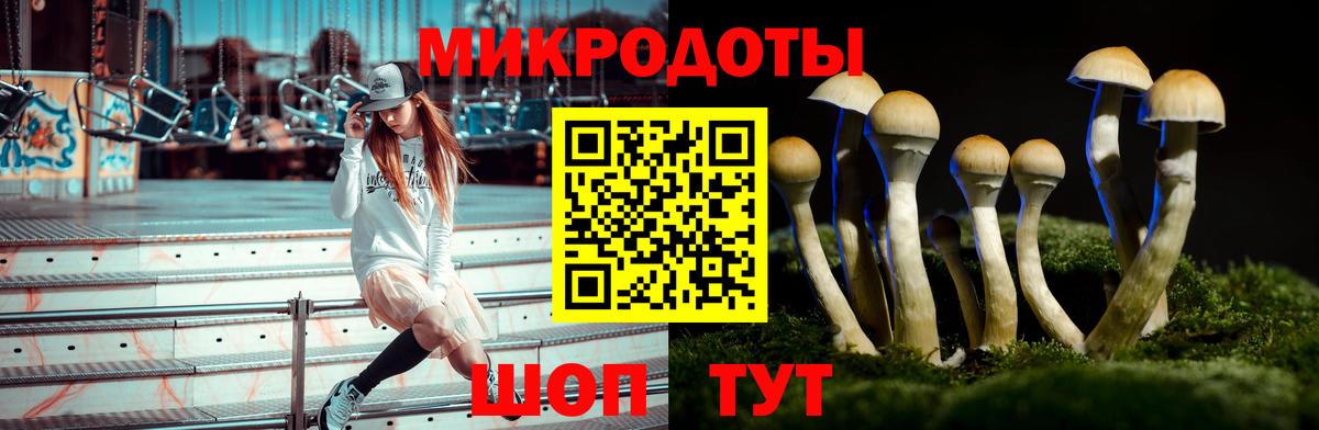 Галлюциногенные грибы GOLDEN TEACHER  Галлюциногенные грибы Cubensis  Асбест  Вход с VPN 
